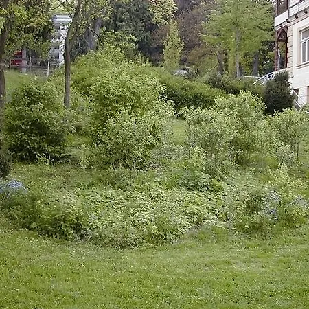 Апартаменты Annenburg
